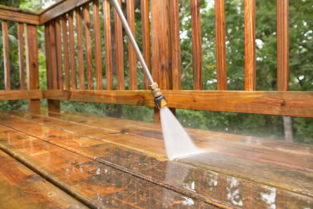 Best Roof Pressure Washing  in Terville, WA